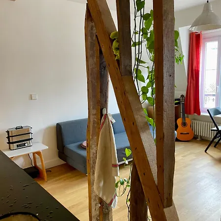 Bois, Lumiere Et Verdure A Apartment
