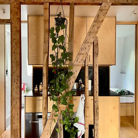 Bois, Lumiere Et Verdure A * Paris